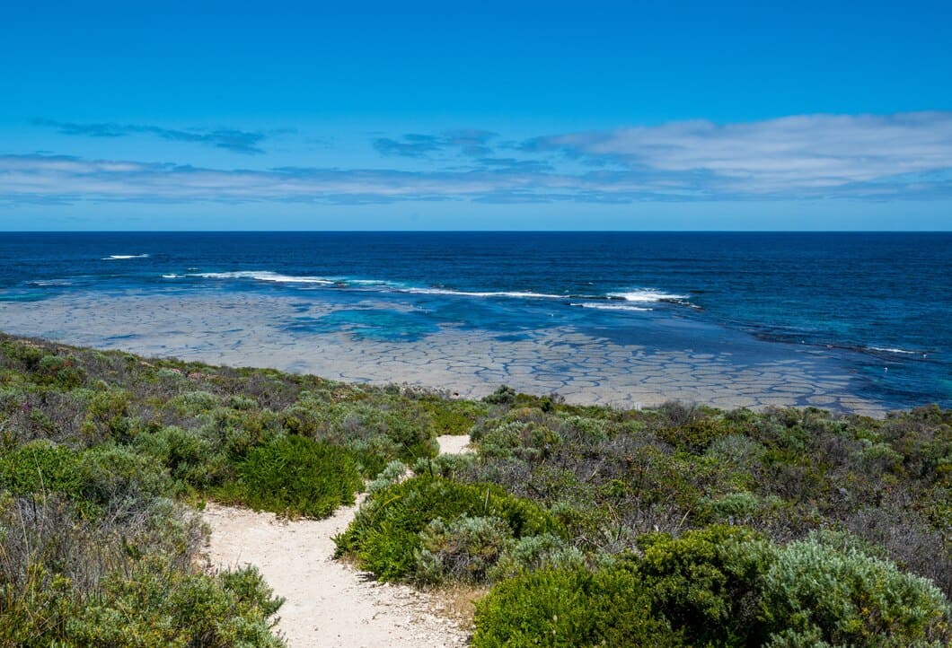 Calm coast and green shoreline